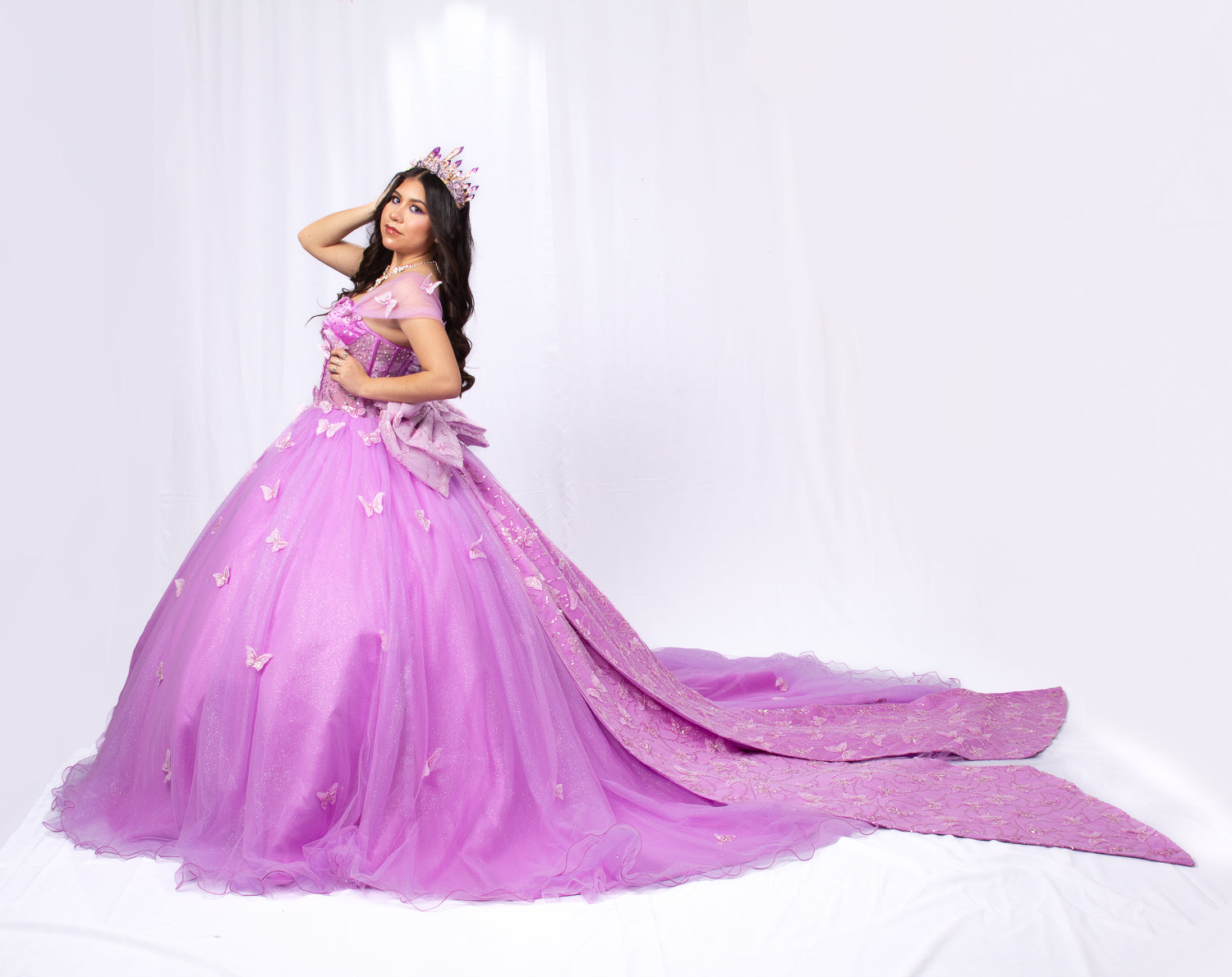 Butterfly Princes Dress Quinceañera Dress XL Butterfly Princes Dress Quinceañera Dress XL