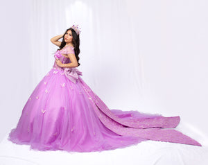 Butterfly Princes Dress Quinceañera Dress