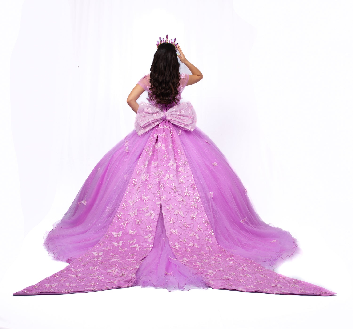 Butterfly Princes Dress Quinceañera Dress